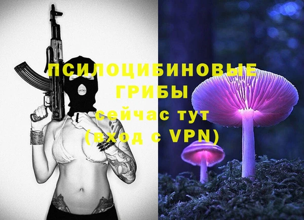 гашик Белоозёрский