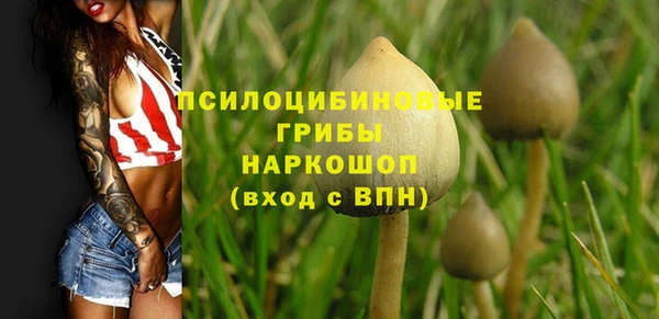 PSILOCYBIN Беломорск