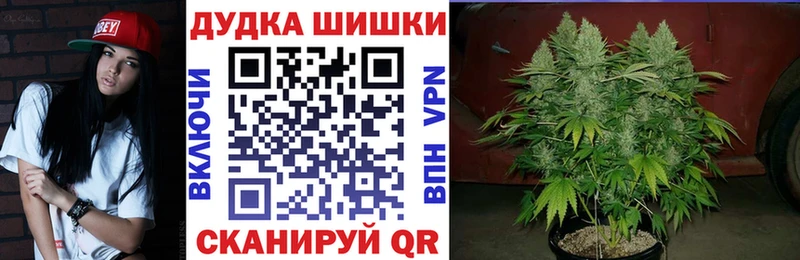 Каннабис Bruce Banner  Шагонар 